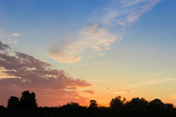 Sky after sunset against of dark silhouettes of trees