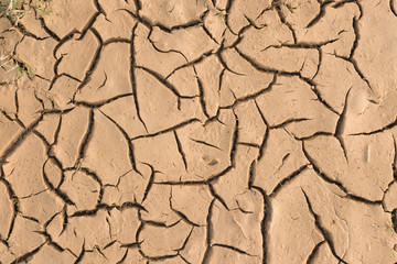 Dry cracked earth.
