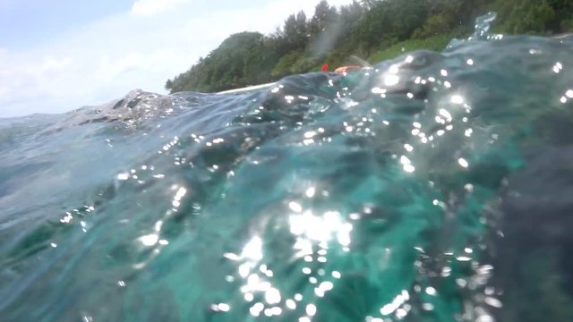 Tropical fish on vibrant coral reef underwater static scene in Maldives