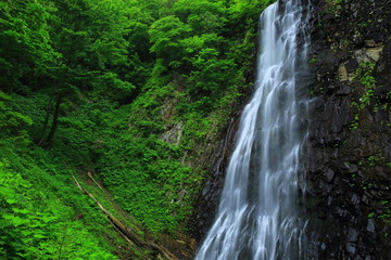 Fototapeta na wymiar 夏の立又渓谷　一の滝