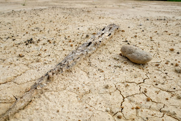 abstract background rift of soil Climate change and drought land