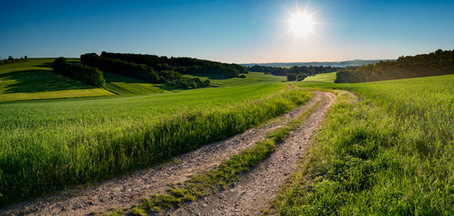 Green field and clear blue sky sun panorama
