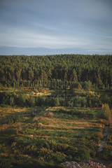 Obraz premium Nature