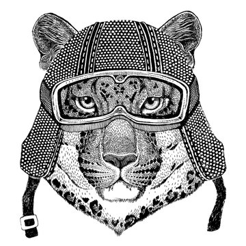 Wild cat Leopard Cat-o'-mountain Panther wearing vintage motorcycle helmet Tattoo, badge, emblem, logo, patch, t-shirt