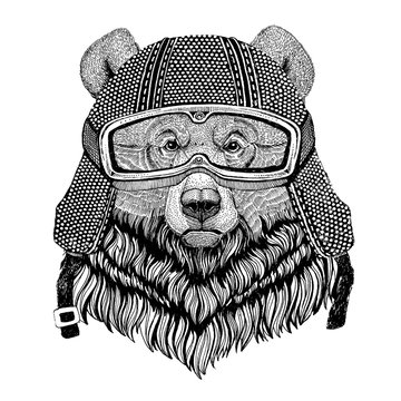 Grizzly bear Big wild bear wearing vintage motorcycle helmet Tattoo, badge, emblem, logo, patch, t-shirt