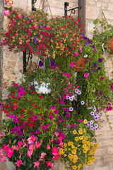 Fototapeta na wymiar Cascata di fiori colorati per addobbare l'esterno della casa