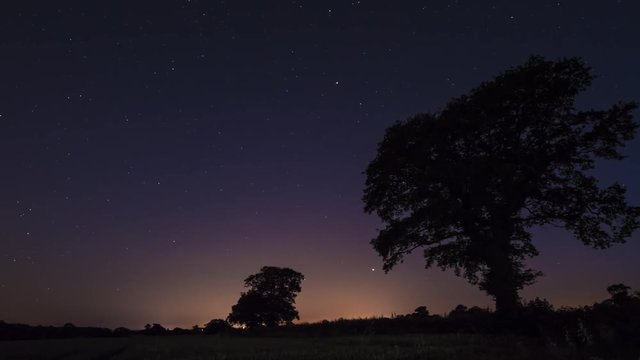 night time star trails against silhouette of oak trees - Stafford, England: June 17th 2017