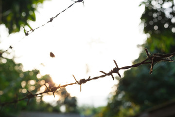 barbed wire fence with sharp spikes