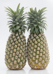 Pineapple on white background. 