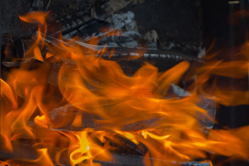 Burning firewood, campfire, fire