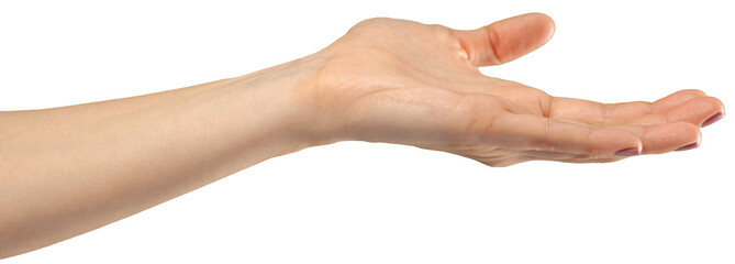 Fototapeta na wymiar female hand gesture