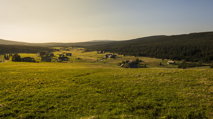 Obraz premium The landscape with meadow and forest in spring nature