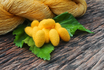 Silk Cocoons on wood background