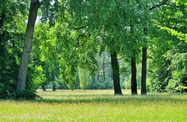Fototapeta na wymiar Park Sanssouci, Potsdam