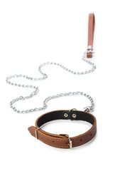 Dog leash isolated on white. close up