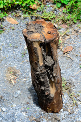 One moment to be long for the mood.