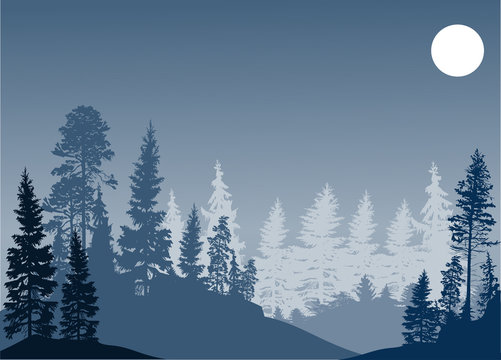 dark fir trees blue forest under moon