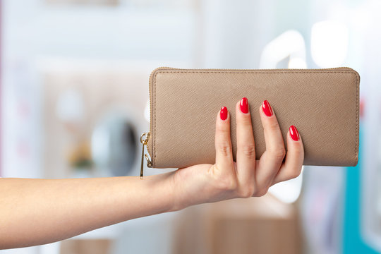 woman wallet in hand