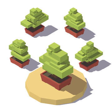 isometric bonsai in a pot plant