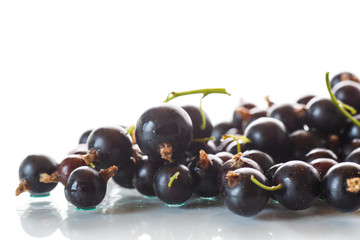 Berry ripe black currant