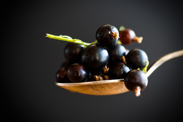 Berry ripe black currant