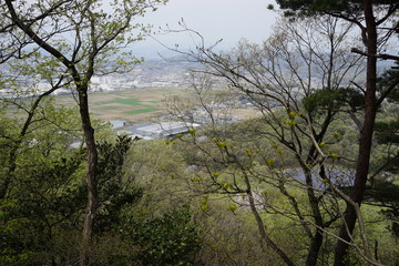 展望　風景　登山　景色