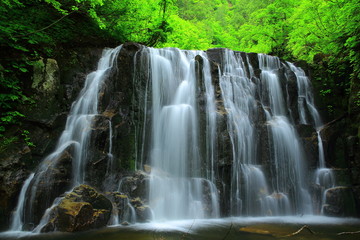 Fototapeta na wymiar 夏の立又渓谷　二の滝