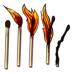 VectorSet of Cartoon Burning Matches. Different Stages of Combustion
