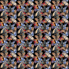 Watercolor butterfly pattern tender insect, intresting moth, isolated wing illustration. Butterfly names: swallowtail, monarch, queen. Aquarelle for background, wrapper pattern, frame or border.