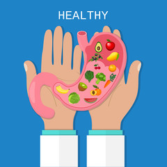 Stomach icon. Human internal organs. Healthy food. Digestion. Digestive tract, system. Healthcare. Flat style. Vector illustration