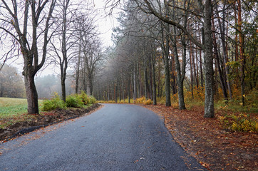 A deserted road in an autumn park.