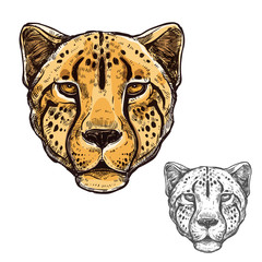 Cheetah muzzle African wild animal vector icon