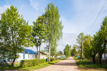 Green trees near the road in the village