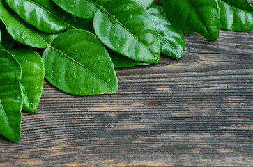 Lime leaves have been used as herbal remedy in various countries.
kaffir lime leaves in shape heart bowl with water drops on wooden floor.
