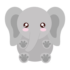 kawaii elephant animal icon over white background vector illustration