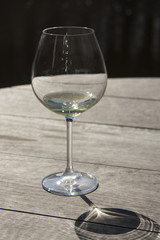 Wine Glass