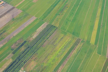 Rice field pattern when view from airplane window