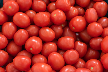 red tomatoes background. Group of tomatoes