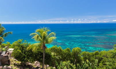 view to indian ocean from island with palm trees