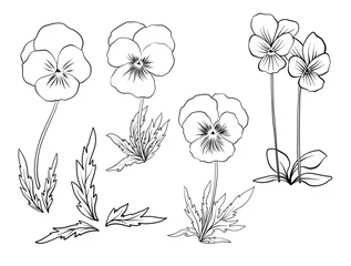 Deurstickers Violet flowers. Set of outline flowers. Stock line vector illustration. Outline hand drawing coloring page for coloring book.  © Elen  Lane