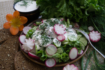 Obraz na płótnie Canvas Fresh cucumber and red radish chopped slices for salad.