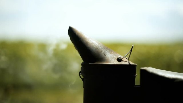 Bee smoker stands at around the hive One Close-up