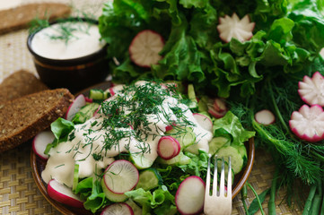 Fresh green  cucumber and  red radish chopped slices for salad.