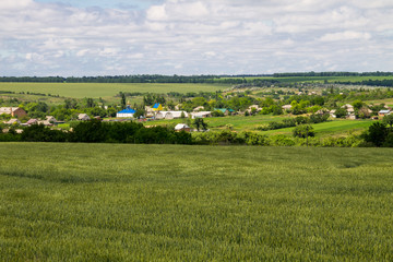 Fototapeta premium View on the village in Ukraine on summer