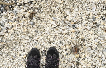 Feet in black and pink sneakers, photographed at The Black Sea shore, in Gura Portitei, Romania