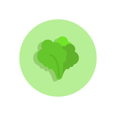 Leafy greens flat icon. Round colorful button, circular vector sign, logo illustration. Flat style design