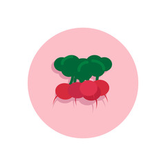 Radish flat icon. Round colorful button, circular vector sign, logo illustration. Flat style design