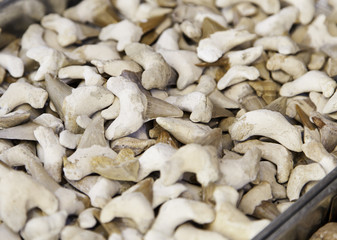 Shark teeth