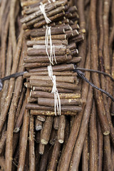 Licorice sticks