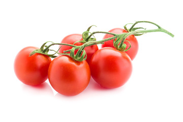 cherry tomatoes on a branch